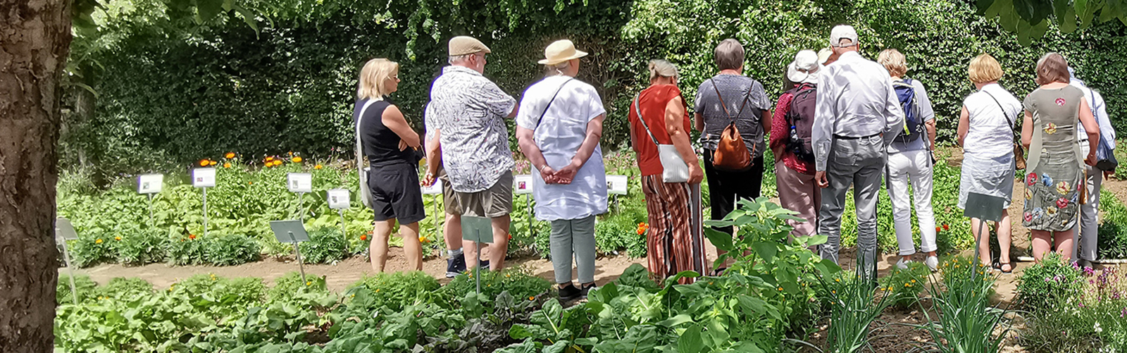 Rondleiding Vergeten groenten