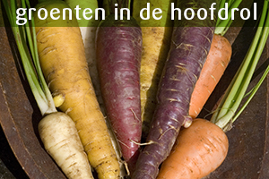 Lees meer over het artikel Wortels uit de oven
