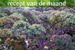 Lees meer over het artikel Aardappel-asperge salade