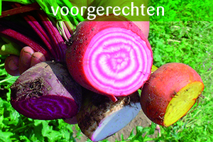 Lees meer over het artikel Carpaccio van Chioggia biet